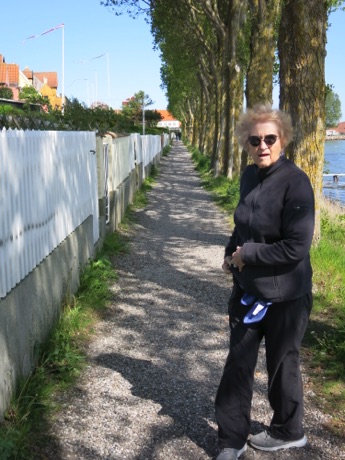 windy walk in Aeroskobing